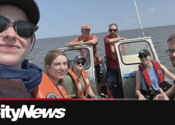 Lake Winnipeg's Toxic Algae: A Wake-Up Call for Our Environmental Responsibilities